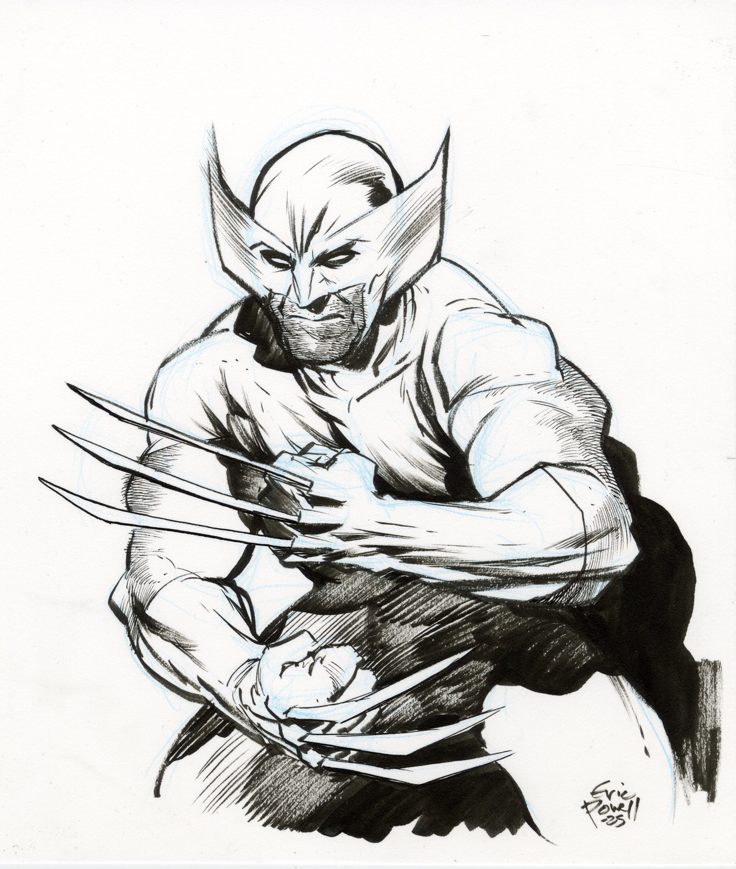 Wolverine Sketch